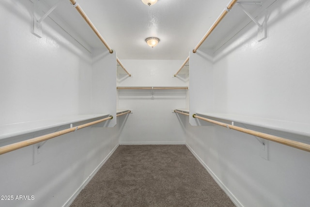 2000 N 36th St Unit 8, Phoenix, AZ 85008 - spacious closet with carpet floors