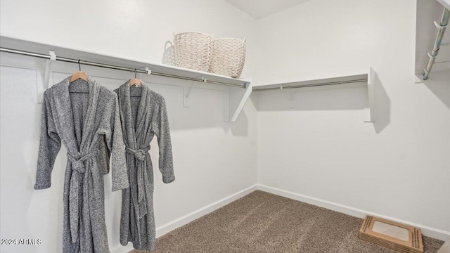 walk in closet with carpet