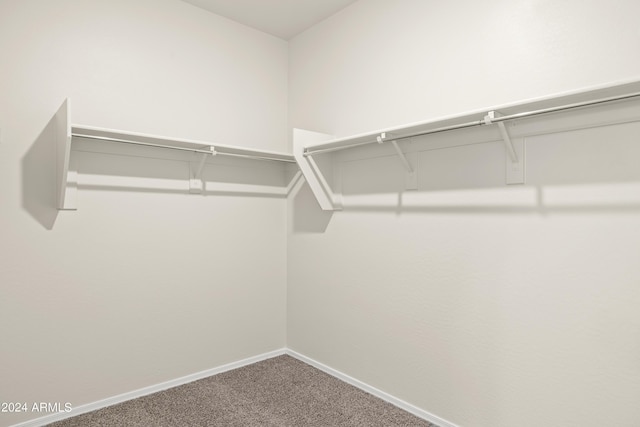 walk in closet featuring carpet flooring