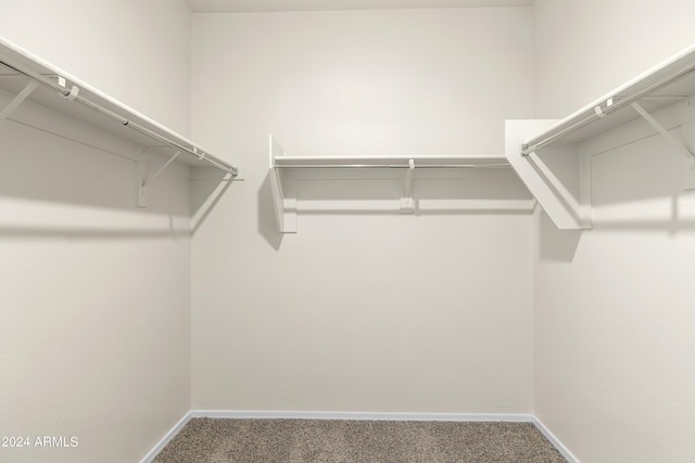 walk in closet with carpet flooring