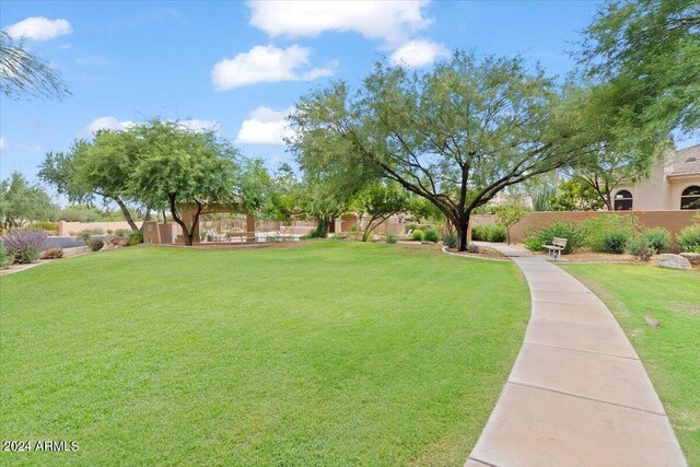 view of community with a yard