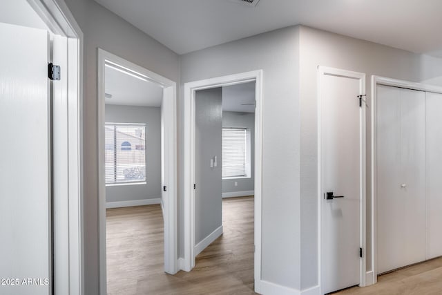 2730 E Desert Trumpet Rd, Phoenix, AZ 85048 - hall featuring light wood-style flooring and baseboards