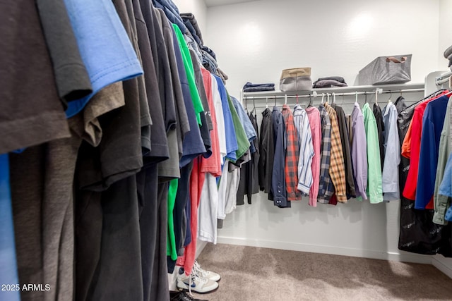 14233 W Georgia Dr, Surprise, AZ 85379 - spacious closet with carpet flooring