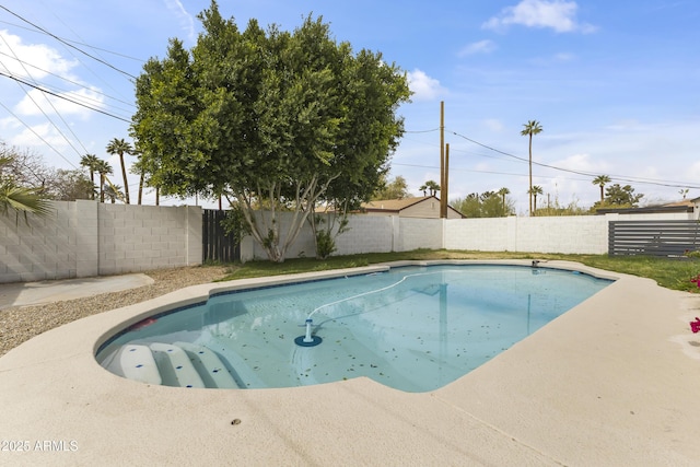 view of pool with a fenced backyard and a fenced in pool