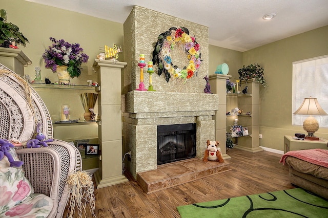 living room with a fireplace and wood-type flooring