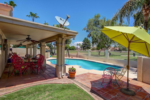 view of swimming pool featuring a patio area and ceiling fan