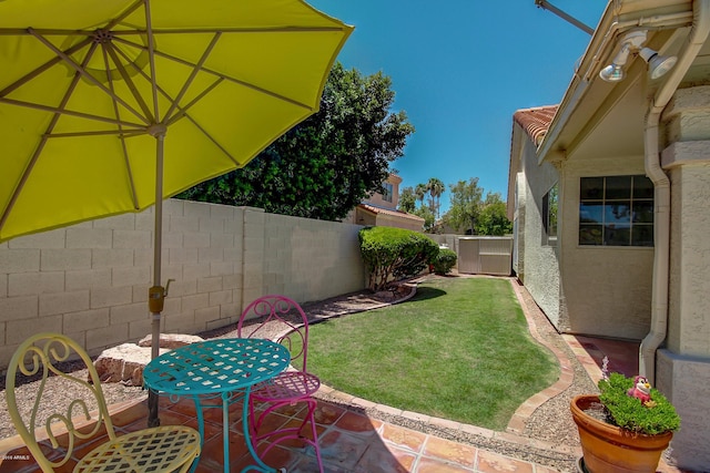 view of yard with a patio area