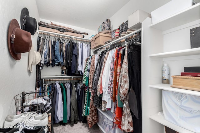 walk in closet featuring carpet