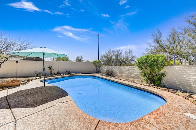 view of swimming pool featuring a fenced backyard