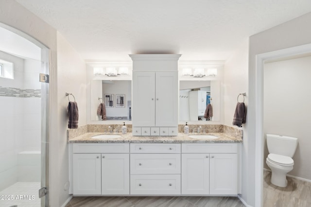 full bathroom featuring a sink, a shower stall, toilet, and double vanity