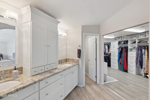 bathroom featuring a sink, a spacious closet, and double vanity