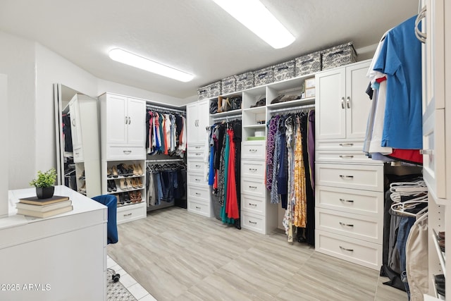 view of walk in closet