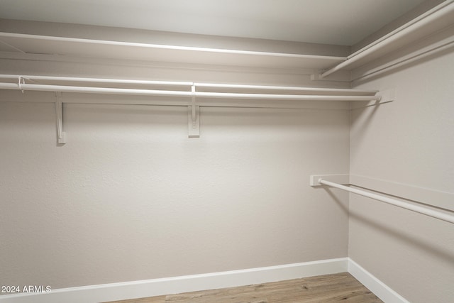 spacious closet with hardwood / wood-style flooring