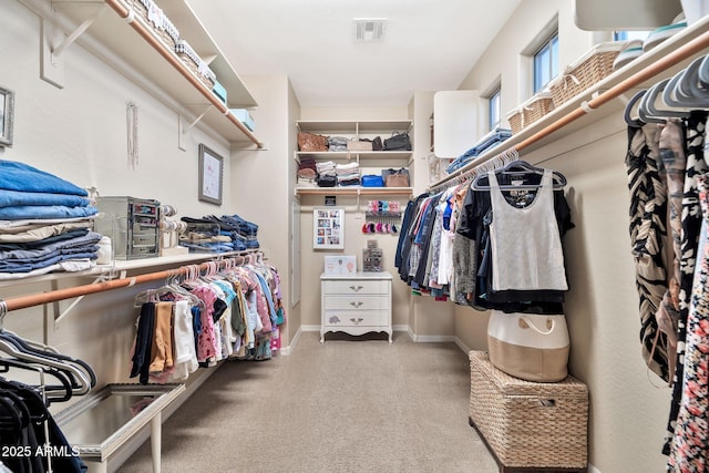 view of spacious closet