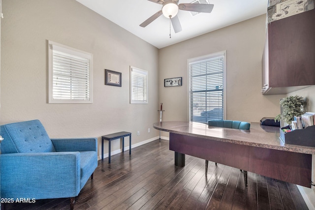 office featuring ceiling fan and dark hardwood / wood-style flooring