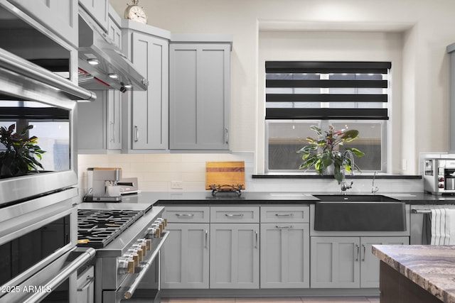 20795 W San Juan Ave, Buckeye, AZ 85396 - kitchen with gray cabinets, appliances with stainless steel finishes, under cabinet range hood, and a sink