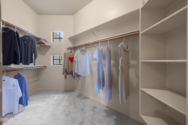7445 E Eagle Crest Dr Unit 1015, Mesa, AZ 85207 - walk in closet with carpet