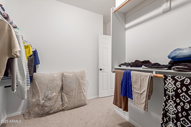 walk in closet with carpet