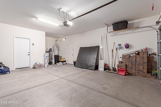 garage featuring a garage door opener and gas water heater