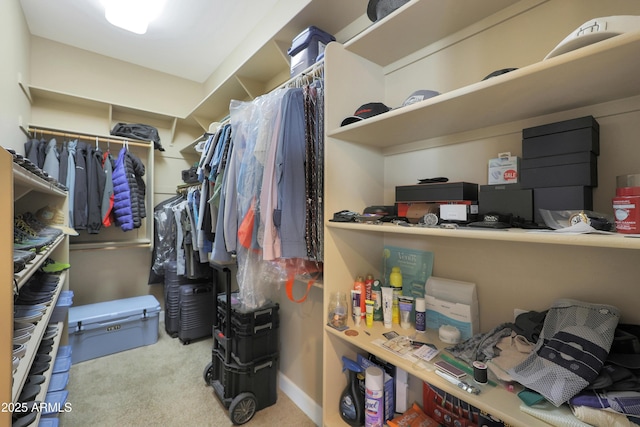 walk in closet featuring light colored carpet