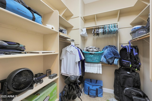 walk in closet featuring light carpet