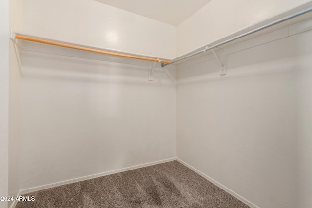 walk in closet with carpet