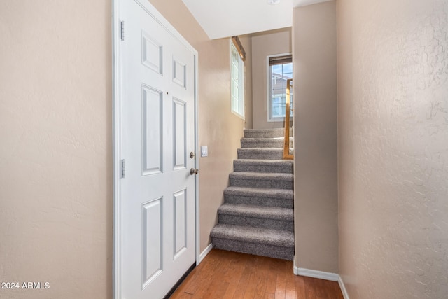 staircase featuring wood-type flooring