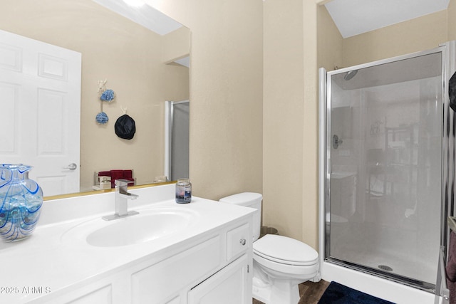 bathroom featuring vanity, wood-type flooring, toilet, and walk in shower