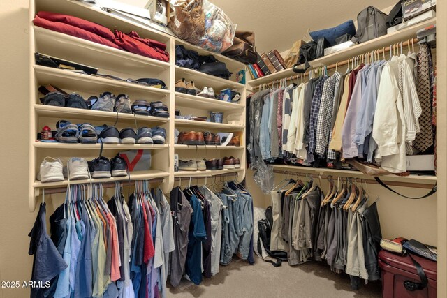 1558 W Maplewood St, Chandler, AZ 85286 - spacious closet featuring carpet floors