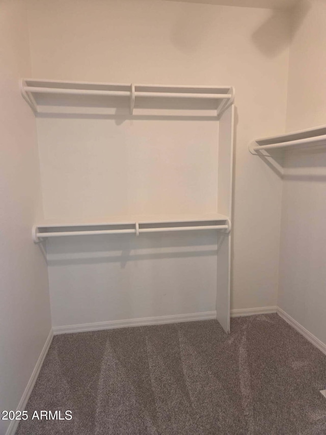 14621 W Catalina Dr, Goodyear, AZ 85395 - spacious closet featuring carpet floors