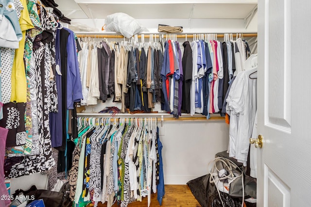 spacious closet featuring wood finished floors