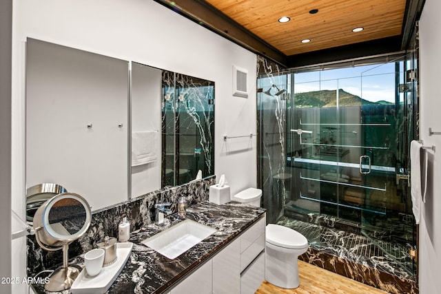 bathroom featuring a mountain view, vanity, wooden ceiling, a shower with door, and toilet