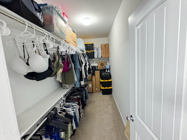 walk in closet with light colored carpet