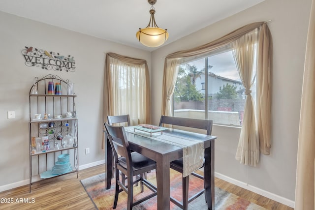 dining room with hardwood / wood-style floors