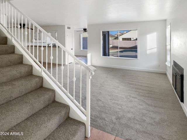 stairs featuring carpet and ceiling fan