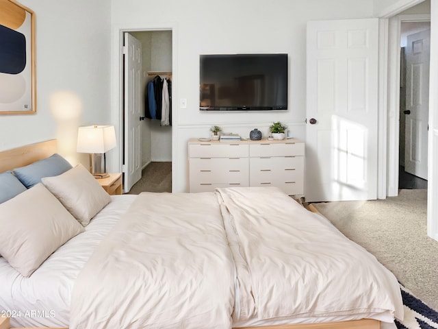 bedroom with a walk in closet, carpet floors, and a closet