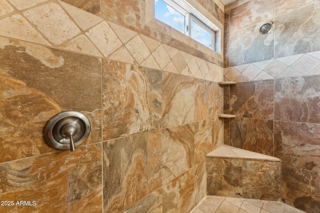 4202 E Brookwood Ct, Phoenix, AZ 85048 - bathroom view of tiled shower