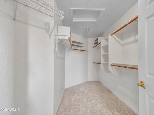 11547 W King Snake Ct, Surprise, AZ 85378 - spacious closet featuring carpet flooring and attic access