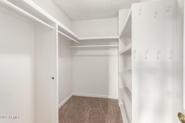 spacious closet featuring carpet flooring