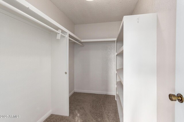 spacious closet with carpet flooring