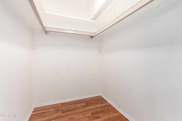 spacious closet featuring wood finished floors