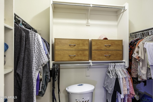 view of walk in closet