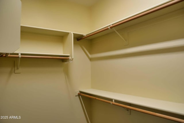 728 S Meadowood Ln, Sierra Vista, AZ 85635 - view of spacious closet