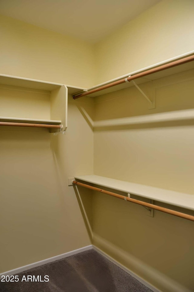 728 S Meadowood Ln, Sierra Vista, AZ 85635 - spacious closet with dark carpet