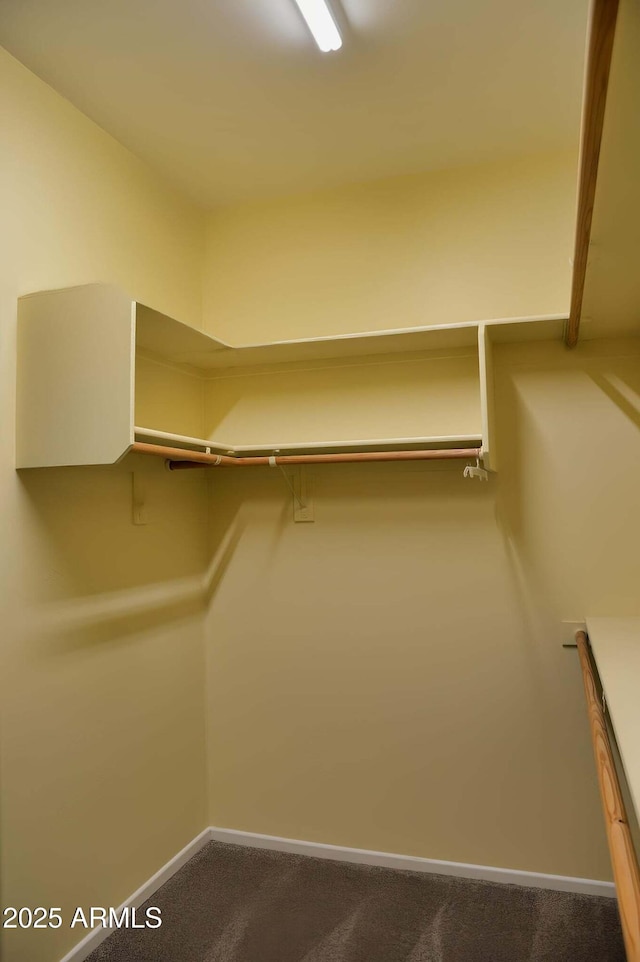 728 S Meadowood Ln, Sierra Vista, AZ 85635 - walk in closet featuring carpet flooring