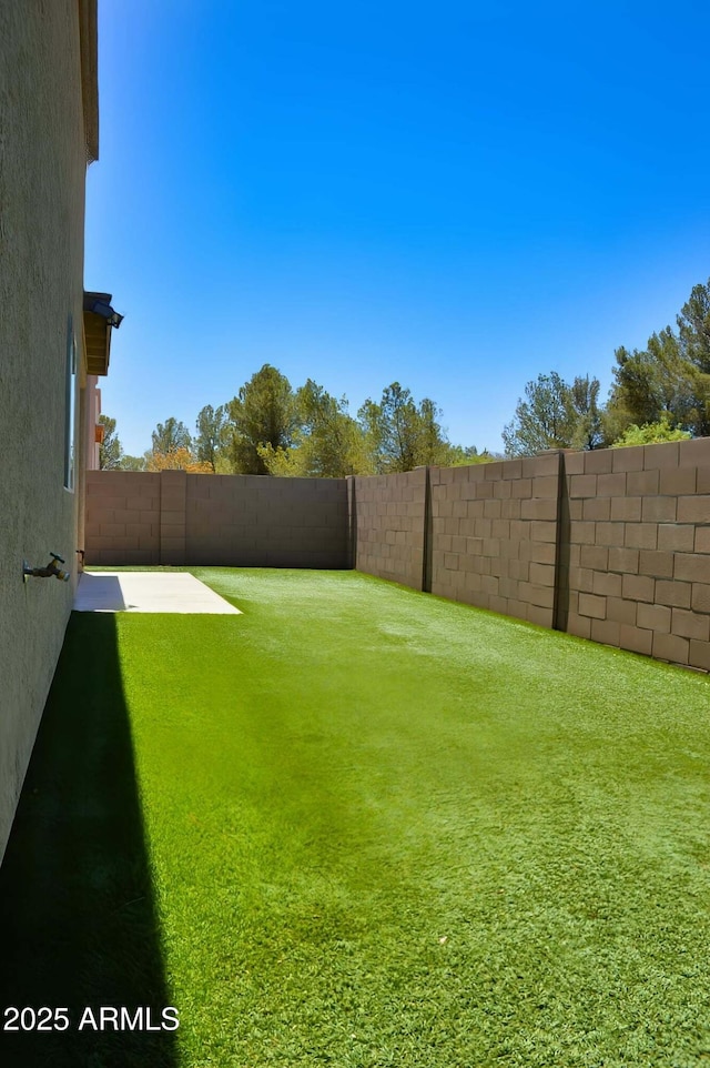 728 S Meadowood Ln, Sierra Vista, AZ 85635 - view of yard