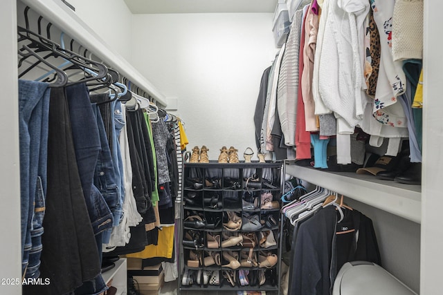 view of spacious closet