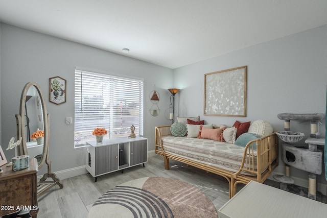 living room featuring light hardwood / wood-style floors