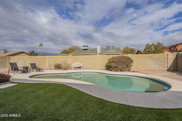 view of swimming pool with a patio area and a lawn