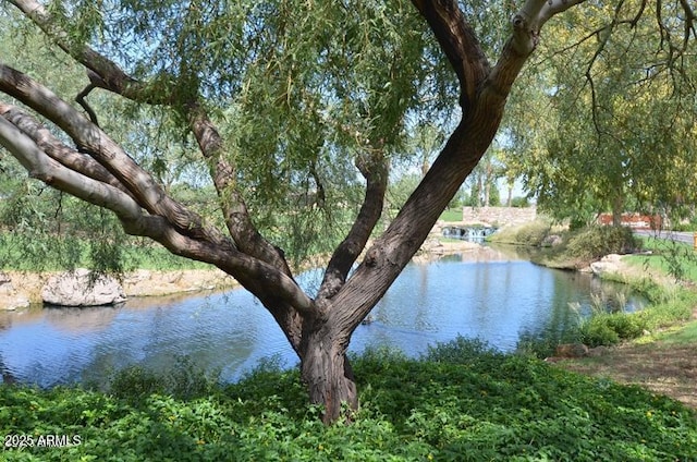 property view of water